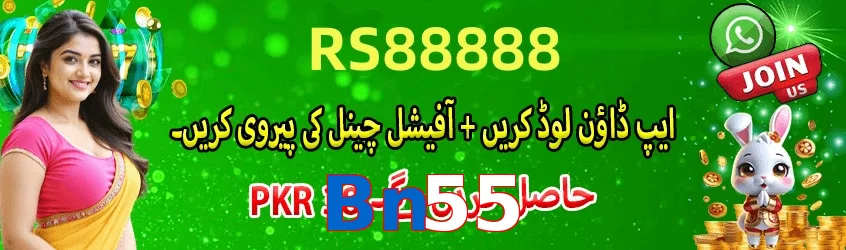 Bn55 interface sample